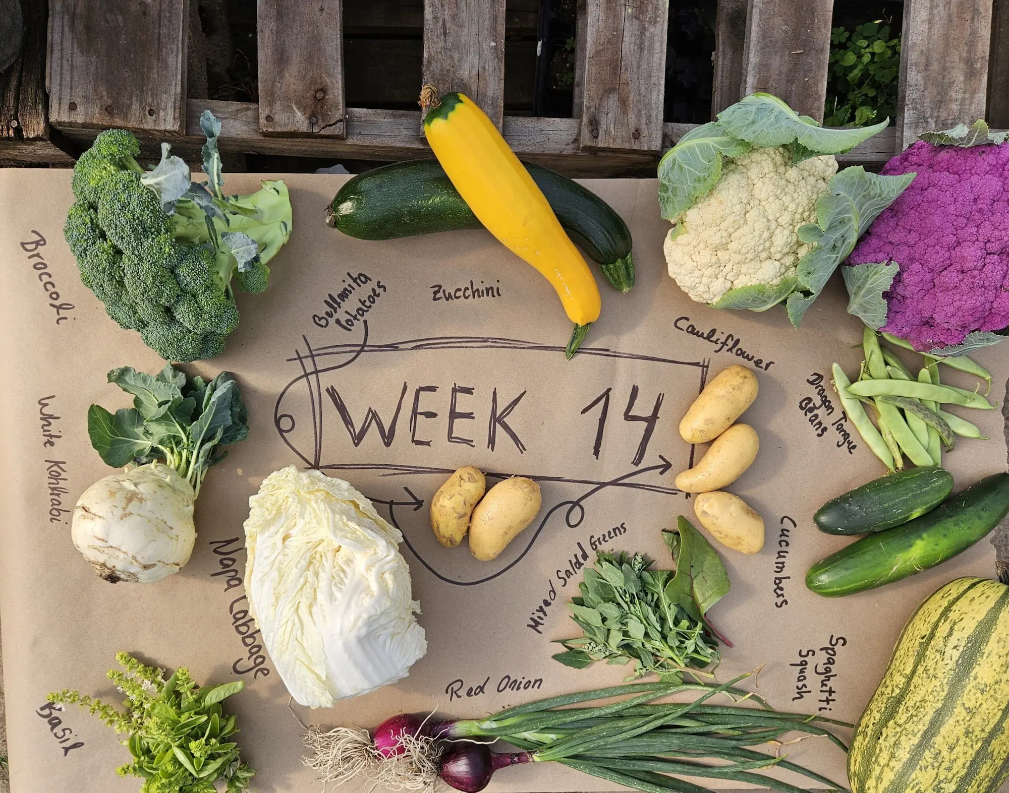 Featured image for “Community Supported Agriculture”