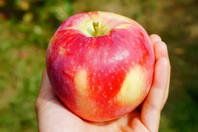 Liberty Apple