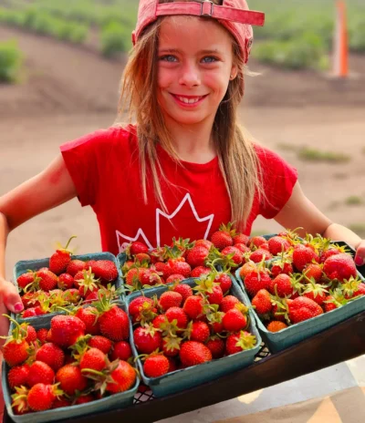 Growing Things! A Beginner's Guide to Strawberries