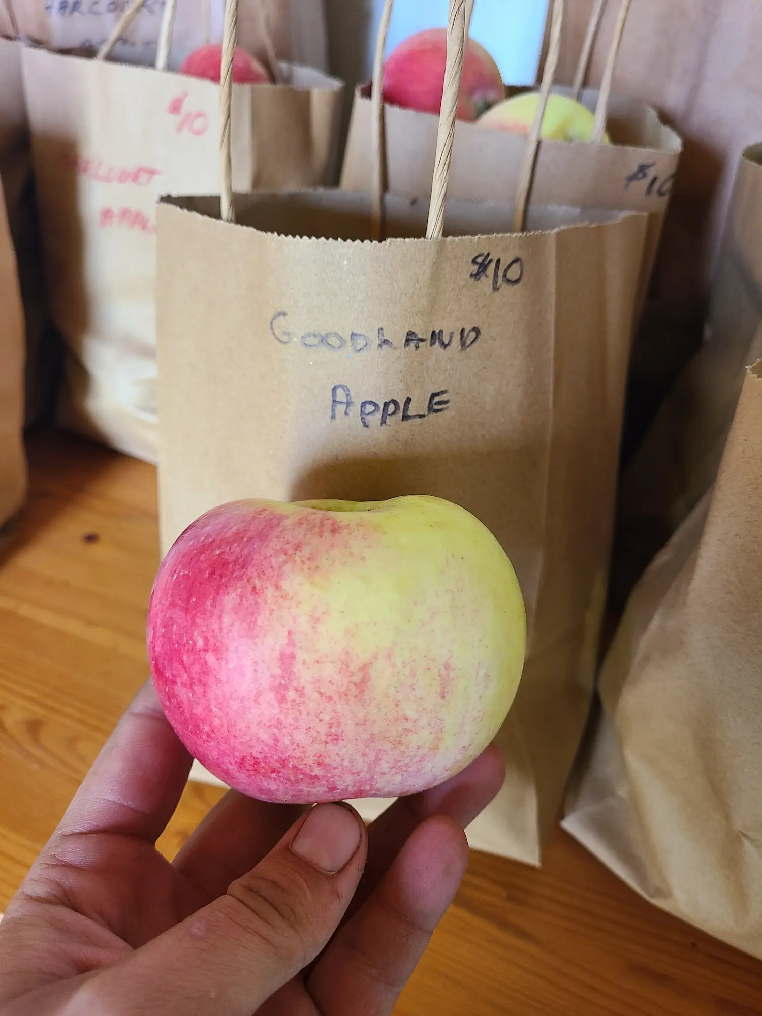 Featured image for “Dwarf Goodland Apple”