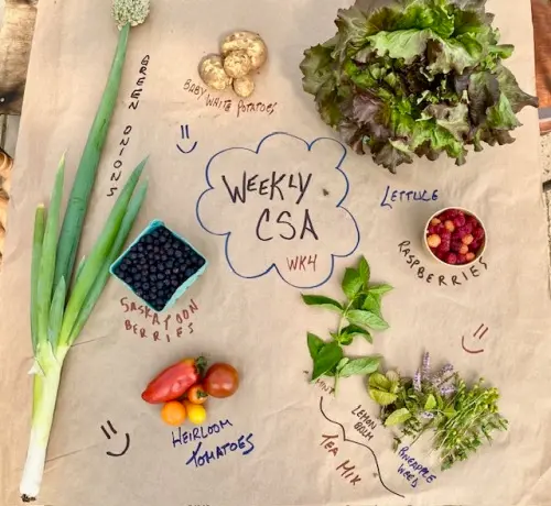 Featured image for “Sampler CSA Basket”