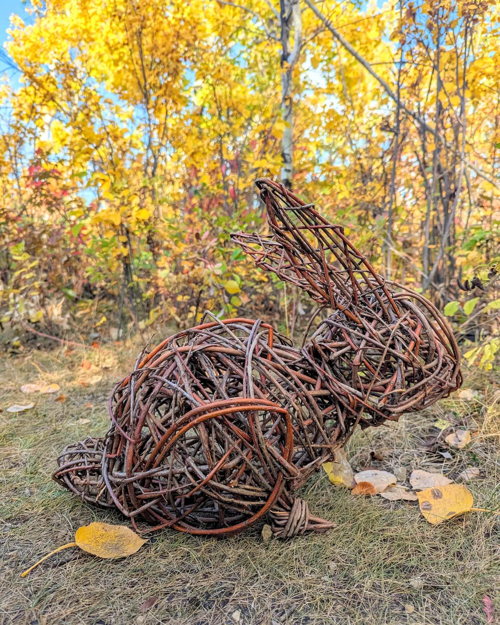 Featured image for “Willow Weaving Workshop Series”