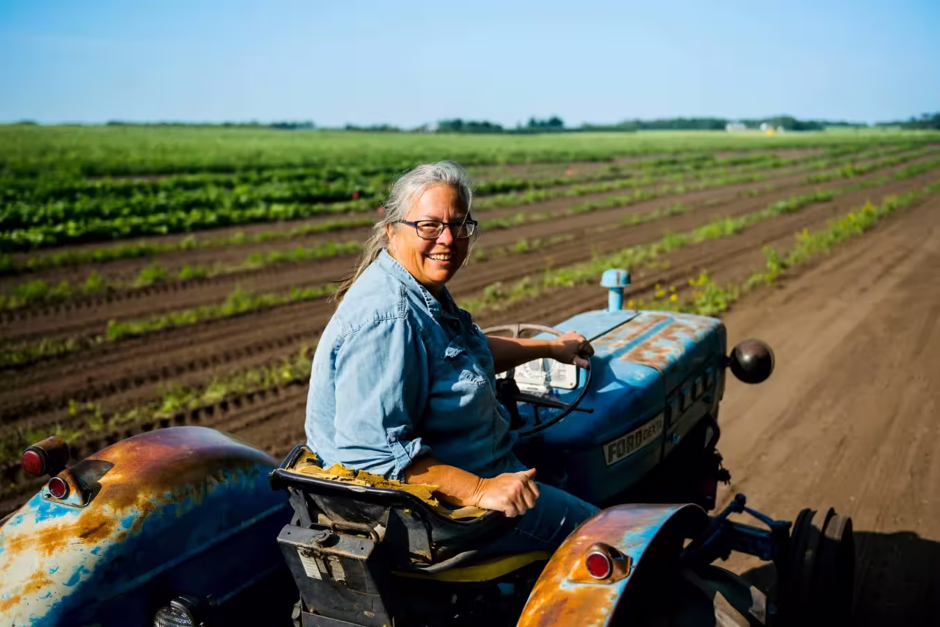 Featured image for “Beyond Red, White, and Russet Potatoes: Discovering the Taste of Place”